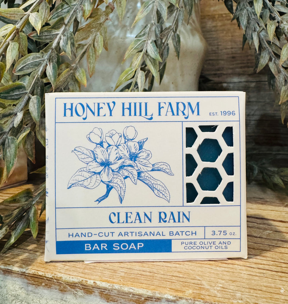 CLEAN RAIN BAR SOAP